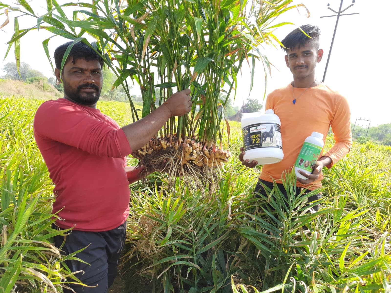 శ్రీ అమోల్ పాచర్‌నె